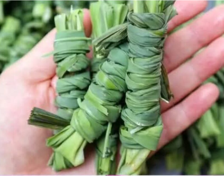 Lemongrass: A Complete Guide to Storage, Wrapping, and Usage