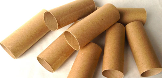 Stop Throwing Away Empty Toilet Rolls