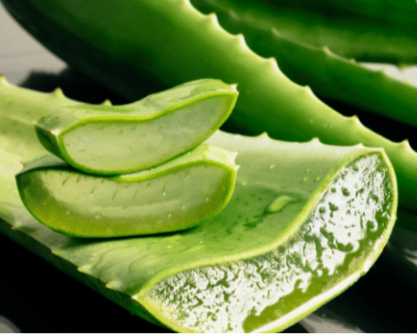 What Aloe Vera Does To Your Body